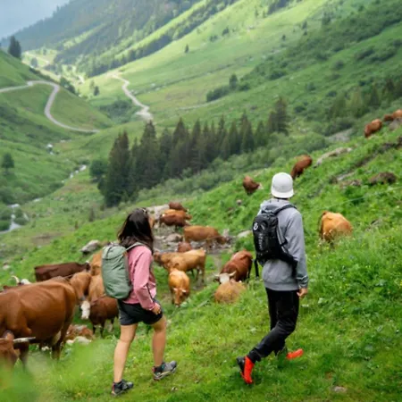 442 Au Pied Des Pistes La Plagne