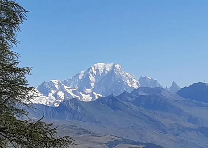 442 Au Pied Des Pistes * La Plagne