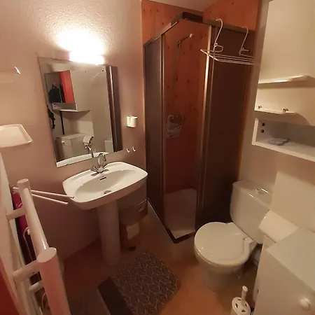 442 Au Pied Des Pistes Apartment La Plagne