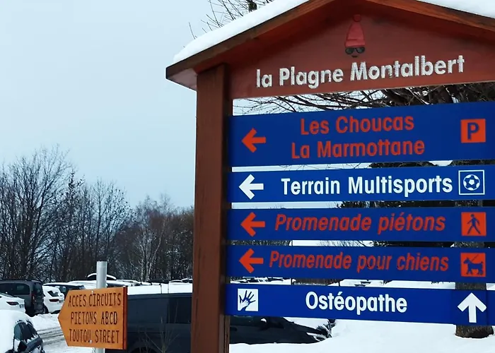 442 Au Pied Des Pistes *